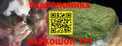 прущая мука Кингисепп