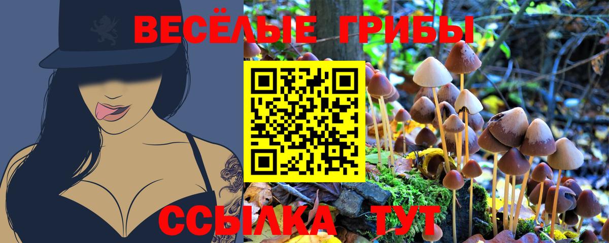 Псилоцибиновые грибы ЛСД Елабуга