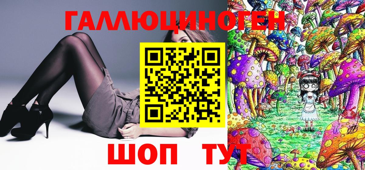 Елабуга  Галлюциногенные грибы Cubensis  Вход с VPN  Псилоцибиновые грибы мицелий 